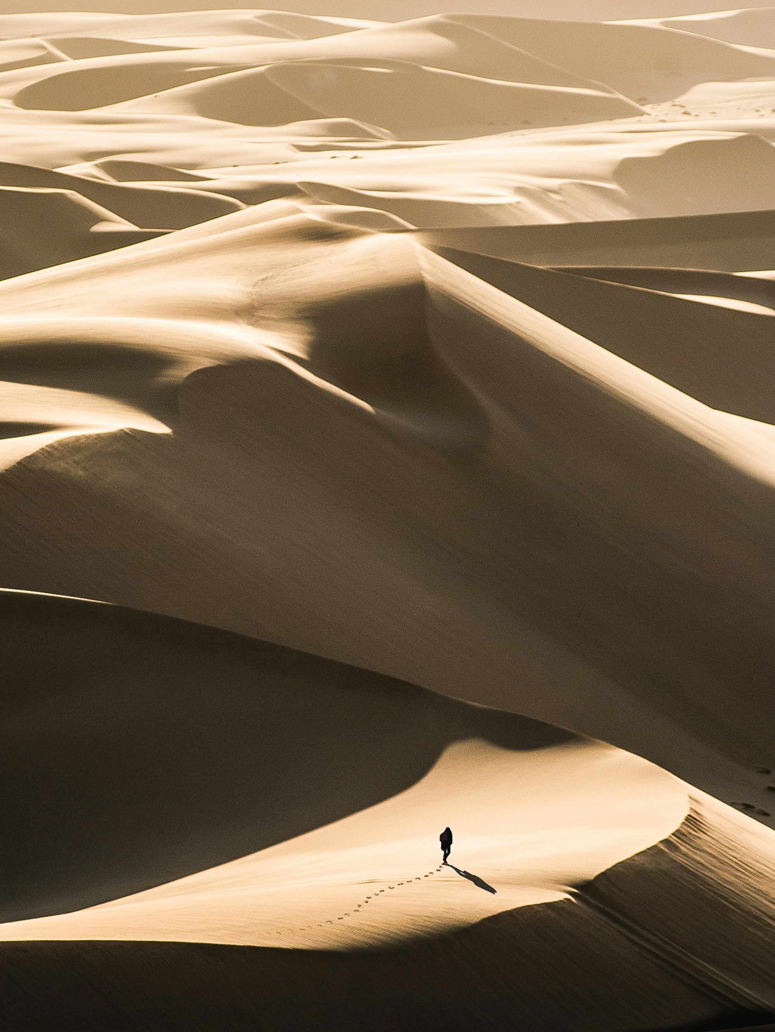 Sahara ørken